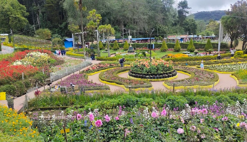 Chennai to Kodaikanal Car Rental Service
